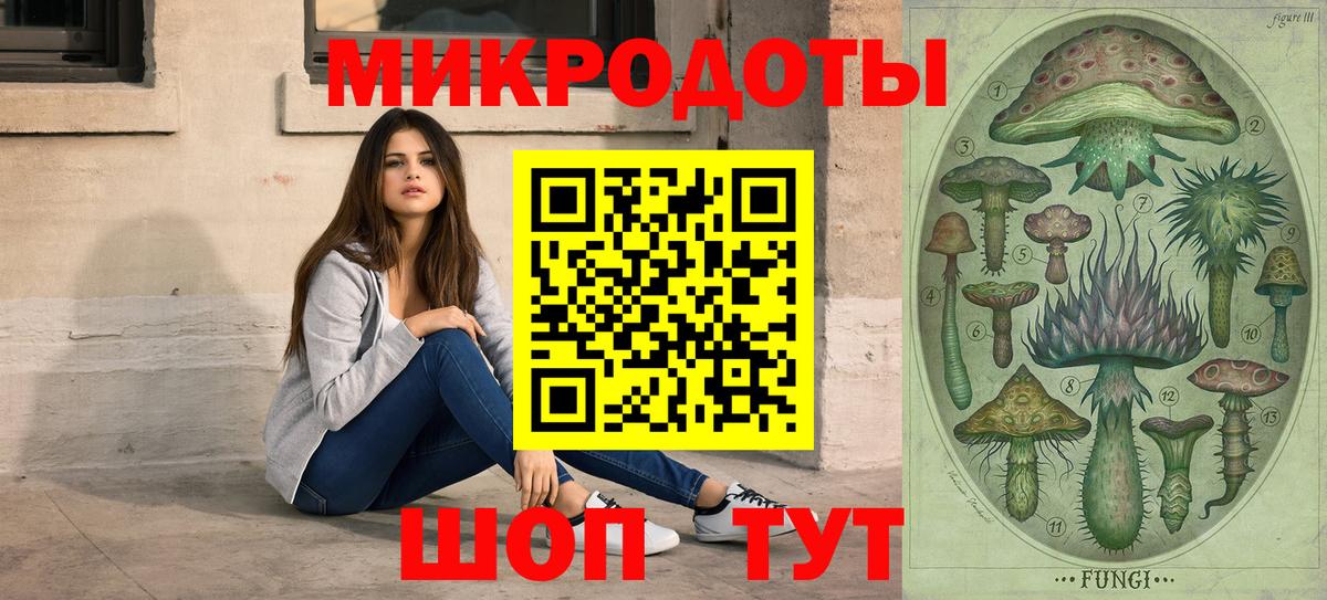 Верхний Уфалей  Галлюциногенные грибы Psilocybine cubensis  что такое   Вход с VPN 