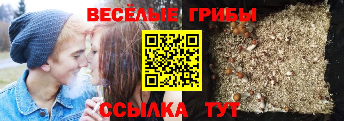 Псилоцибиновые грибы ЛСД Верхний Уфалей